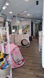 Soho Life (D15), Shop House #537920301